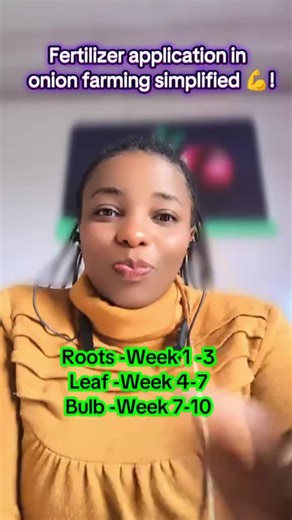 Onion Doctor on Instagram: "Farm inputs are rather expensive.While purchasing them is one thing ,timely application is key . Here’s a quick guide👇( after transplanting) Week 1-3: Rooting Week 4-6: Vegetative Week 7-10: Bulbing Week 11-12: Curing Our value pack offers this guidance and much more ! Have you checked it out,? Call 0703982228 / 0706252490 to grow better!"
