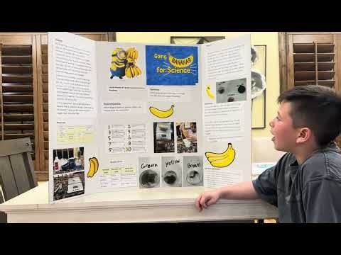 Bananas for science 🍌 DNA from bananas. 