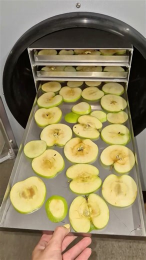 Freeze Dryer & Fruit Slicer | Advanced Lyophilization Technology | ProFruit
