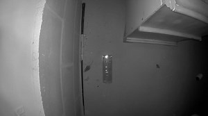 Watch Mouse trap function on Amazon Live