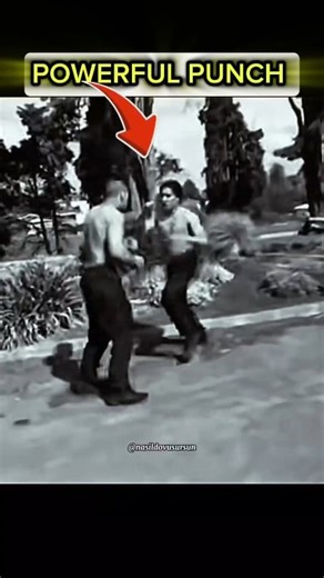 3.8K views · 16 reactions | Powerful Punch one hit knockout. #knockout #mma #fighter #fyp #technique | Street Fighter Workout | Facebook