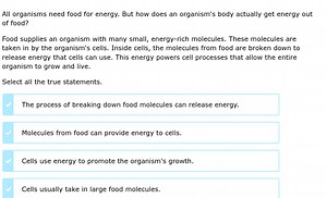 All organisms need food for energy. But how does an organism's ... | Filo