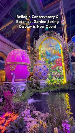Bellagio Conservatory & Botanical Garden Spring Display is Now Open!(Open Through May 16) 🌼 🌸🪻