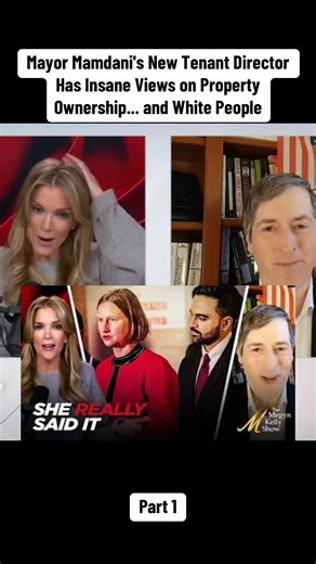 Mayor Mamdani's New Tenant Director Has Insane Views on Property Ownership... and White People #breakingnews #new #fyb #viral #show