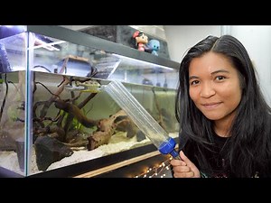 My Turtle Tank Needs Cleaning!! (water change routine)