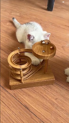 Wooden Perpetual Spiral Motion Kinetic Ball Roller Science Toy