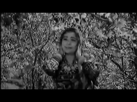 Baharon Mera Jeevan Bhi Sanwaro -Lata Mangeshkar- Rajesh Khanna, Indrani Mukherjee- Aakhri Khat 1966