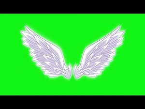 Green Screen Angels Wings Bird Wings Flapping Wings 4K UHD