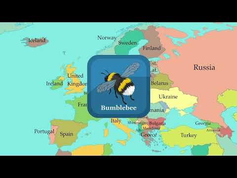 Insects (Bumblebee, Beetle, Bug) | Comparison of European Languages