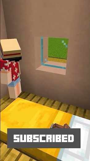 100 Insane Minecraft Experiments