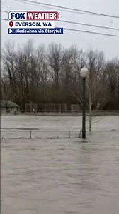 The Nooksack River Brings Major Flooding to Everson, WA