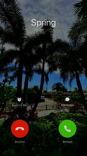 Spring still isn't done calling. Be sure to pick up and get that spring beach trip in! 😎🌴 | Tropical Beach Resorts