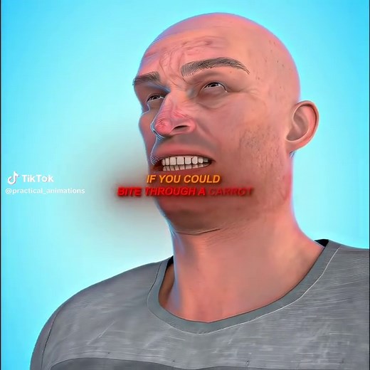 Understanding Human Bite Force and Finger Injury Risks