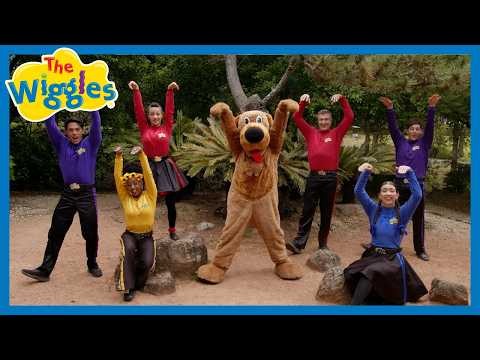 We're Dancing with Wags the Dog 🐶 The Wiggles