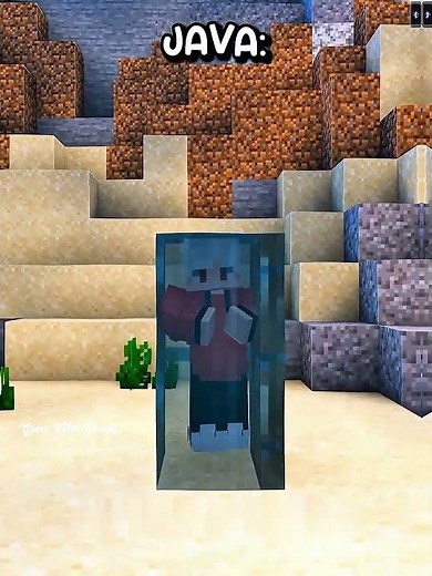 Java vs. Bedrock: The Ultimate Epic Doors Twist Showdown! 🔥✨ #minecraft