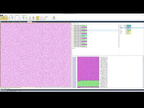 Rusolut Platform (VNR) - Raw Recovery of a FirstChip 1179 AA3 Controller (Partial Recovery)