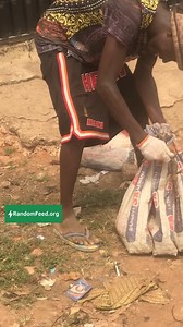 Professional Lizard Catcher #lizard #reels #viral #viralreels #viralvideo #animals Video: soundcraft6 | RandomFeed.org