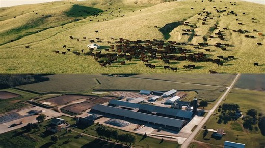 22 reactions | Your herd. Your future. GENEX is here every step of the way. | GENEX Dairy | Facebook