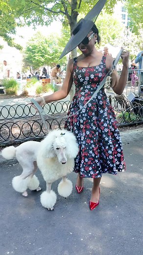Mutt Gala 2023: Atlanta Dog Fashion Inspiration