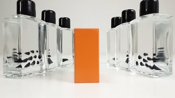 Magnetic Fields Revealed with Ferrofluid in a Bottle