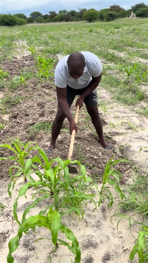 Leading by Example: The Importance of Working the Land