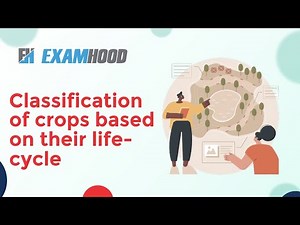 Classification of crops based on their life cycle