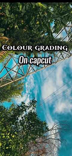 CapCut Colour Grading Tutorial: Enhance Your Videography Skills