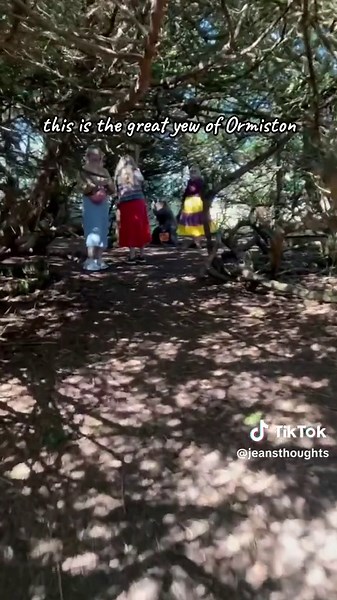 Exploring the Ancient Yew Tree of Ormiston, Scotland