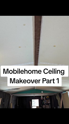 Covered the old ceiling with luan for a wooden look. #homerepair #diy #remodel #mobilehomerenovation