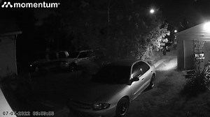 17K views · 147 reactions | LATEST: Indianapolis Metropolitan Police...