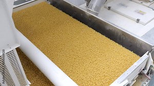 Dry pasta pouring from industrial machine on production line in pasta factory.