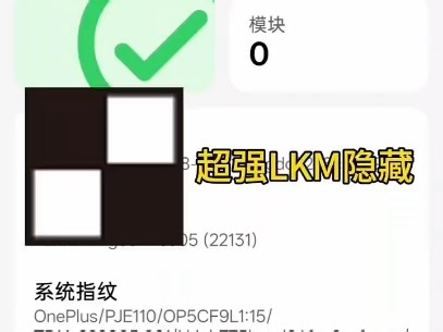 新版lkm完美环境？