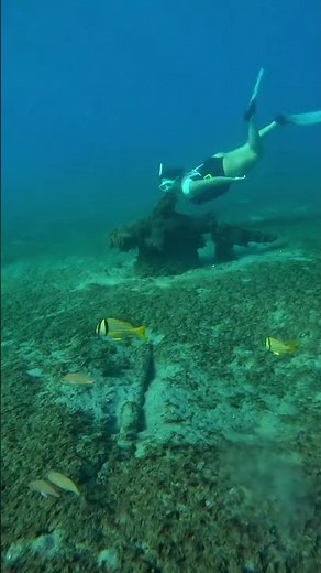 Best Snorkeling Spot in Florida🤿🌴