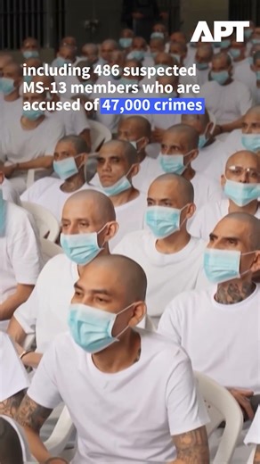 El Salvador Puts 486 MS-13 Members on Mass Trial for 47,000 Crimes in Crackdown | APT Clips
