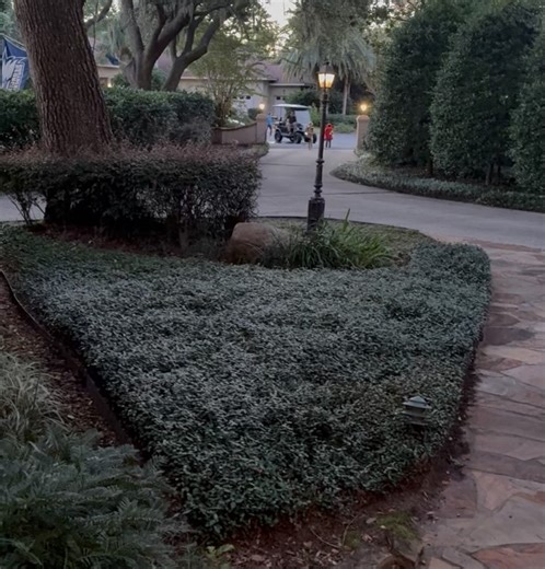 Heather Whitestone McCallum on Reels