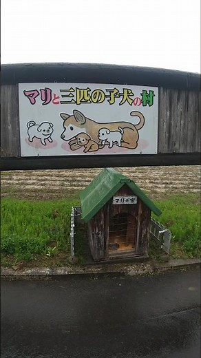I took a peek into Mari's house, the village of Mari and her three puppies!