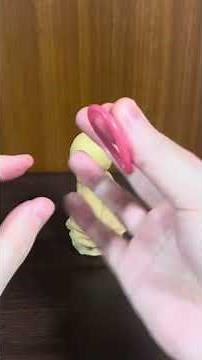 コンドームの付け方（模型でわかりやすく解説）