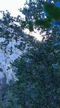 Proverbs 12:28 In the way of righteousness there is life; along that path is immortality.