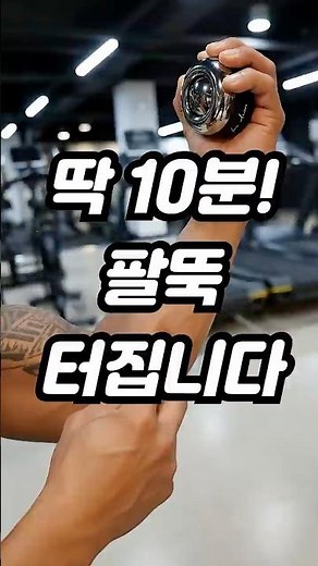 반팔입기 전에 준비하세요. 플레시 자이로볼
