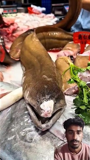 Shocking Eel Fish Preparation 🔪🐟 | Street Food Market Full Process #fish #handfish