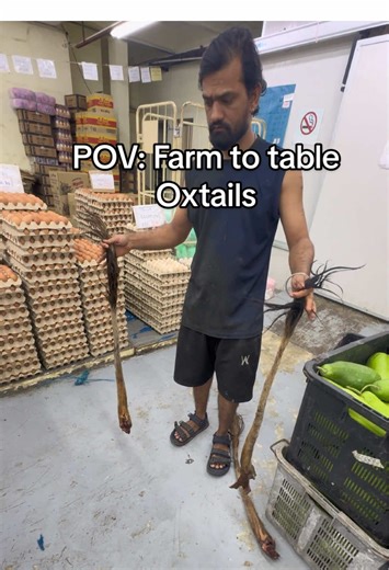 I went to the Pudu Wet Market in Kuala Lumpur and it was a total reality check. Everything was so fresh but I was not ready for what happened at the butcher stall. I went there specifically to get oxtail for dinner and when the guy brought it out it still had all the hair on it. I honestly almost lost it. I know our food comes from animals but seeing it in that state was a huge shock. I was like no no no no no. It is one thing to buy it in a package at the store and another thing to see the actu