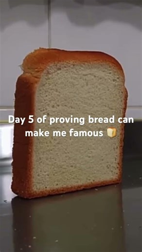 Falling bread #funny #memes #bread