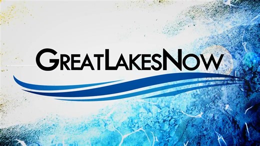21K views · 384 reactions | TONIGHT on Detroit PBS! In the 50 years...