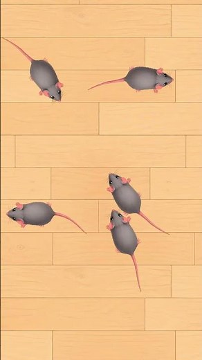 MICE FOR CATS TO WATCH 🐭 RUNNING AND SQUEAKING ON SCREEN!