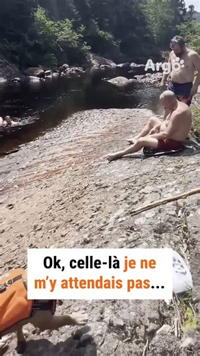 Rendement maximal, effort minimal 🔝 | Argo France