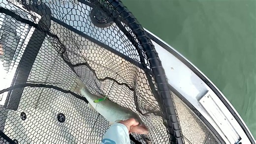 17 reactions | One of the best parts of being a guide is being part of memories on the water....like netting Henry's first ever walleye!! If you have a youngster you want to get out fishing this year, drop me a message and we can set up a date for the Detroit River or Saginaw Bay in 2026!!! walleye101charters@gmail.com | Lance Valentine Sport Fishing | Facebook