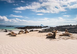 Los 8 patrimonios naturales y culturales que Ecuador le regala a la humanidad