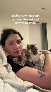 Foster Kitten Nap Challenge: Four 9-Week-Olds Falling Asleep