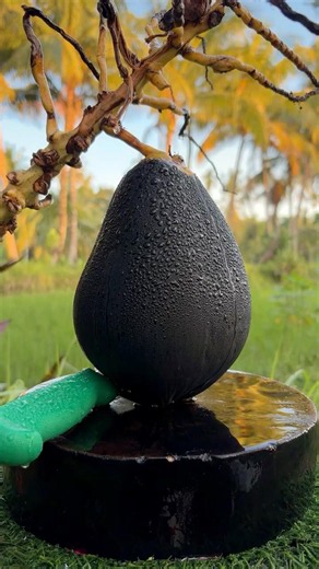 Amazing😱 What kind of coconut is this?