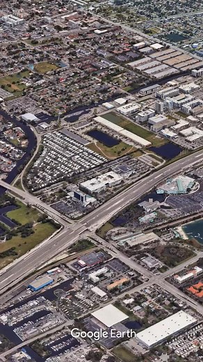 Best pet food brands to buy from #best #petfood #petsoftiktok #usa #top10 | Top5Geography